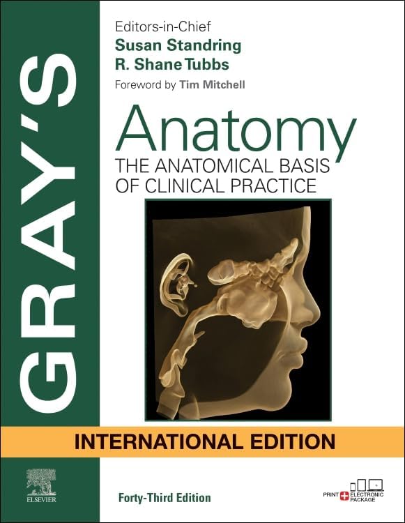 Brs Physiology 7E (INT ED): Costanzo Ph.D., Linda S